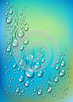 Water rain drops or condensation over blurred green nature background beyond the window, realistic transparent 3d vector