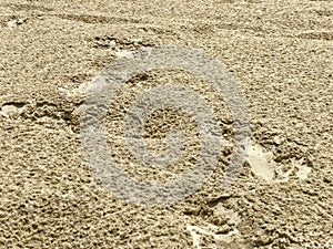 Water rain drops on the sand closeup