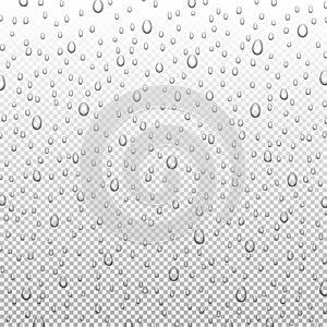 Water rain drops or steam shower isolated on transparent background. Realistic pure droplets condensed, vector