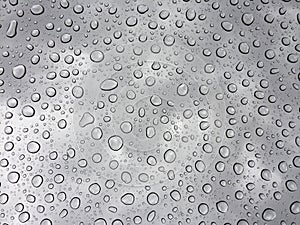 Water rain drops or steam shower. Realistic pure droplets condensed. Vector clear vapor water bubbles