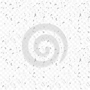 Water rain drops on transparent background. Realistic vector illustration. 3D bubbles on window glass surface