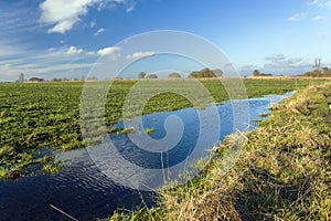 Water after rain on a green field, white clouds on a blue sky