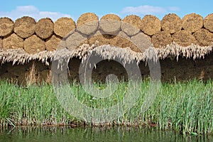 Water reed sheaves