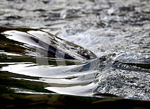 Water with reflecions