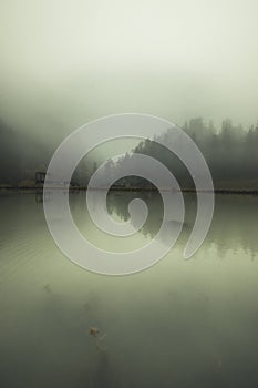 water reflecting woods on cold day with a lot of fog