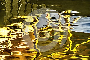 Water Reflection Abstract Garden Kinkaku-Ji Golden Pavilion Temple Kyoto Japan