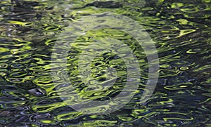 Water reflection abstract green background