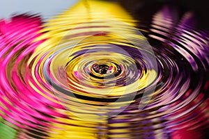 Water reflection of colorful flowers