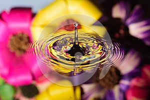 Water reflection of colorful flowers