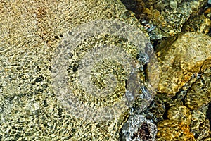 Water reflection.Water ripple.Nature background.Stones and rocks under water.Summer background.Pebbles under water