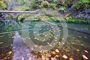 Water reflections in canyon Breakthrough of River Hornad in Slovak Paradise during autumn