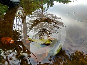 water reflections create beautiful shadows