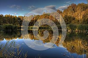 Water reflections in fall