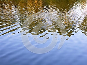 Water reflections. Gold and blue