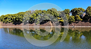 Water reflections of green trees on brick wall under blue sky in Tokyo