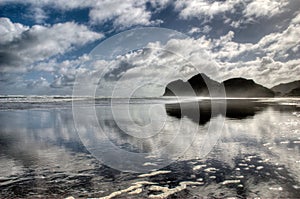 Water reflections at Te Henga, Bethells Beach, Waitakere, Auckland New Zealand