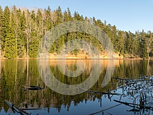 Water reflections of trees, early spring landscape, with reflection on mirror water