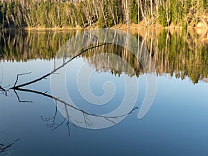 Water reflections of trees, early spring landscape, with reflection on mirror water