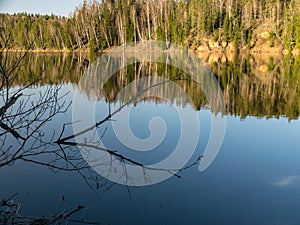 Water reflections of trees, early spring landscape, with reflection on mirror water