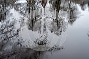 Water reflections of trees in a river. Picture from Eslov, Sweden