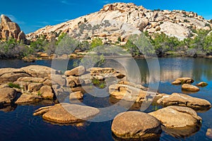 Water reservoir above the Barker Dam, Joshua tree National Park, California