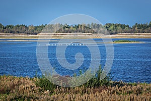 Water reservoir in Chernobyl Zone