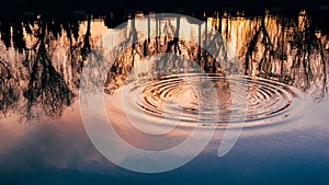 Water rings on forest lake