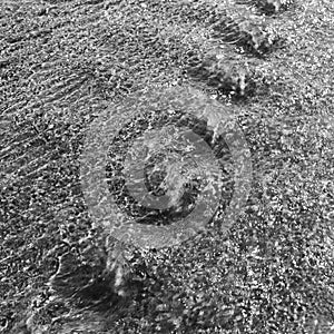 Water Ripple Background Black and White