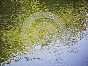 Water ripple effect