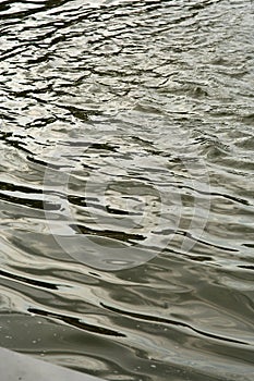 Water ripples