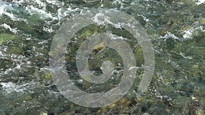 Water river background. close up of stones in pure fresh transparent mountain river water, View from above. Stones can