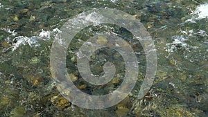 Water river background. close up of stones in pure fresh transparent mountain river water, View from above. Stones can