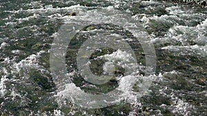 Water river background. close up of stones in pure fresh transparent mountain river water, View from above. Stones can