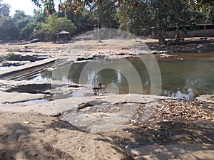 Water river and big stone and forest