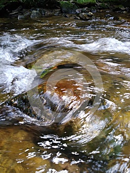 Water river creek mountain clear fish rocks trees flowing fresh