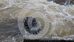 Water river nature Russia