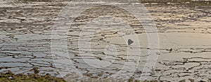 Water rock pattern - low tide on a beach. Wallpaper