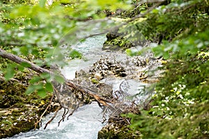 water running down the leutaschklamm (leutash gorge) in bavaria, germany