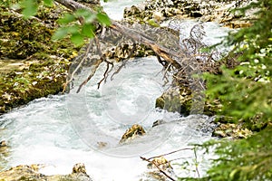 water running down the leutaschklamm (leutash gorge) in bavaria, germany