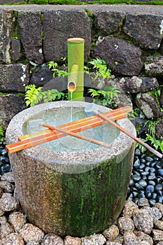 Water running out through bamboo pipe to stone water basin, Japan