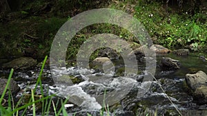 Water Running over Rocks Oakley Creek