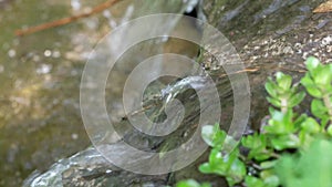 Water running from the small waterfall.