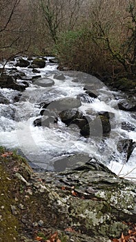 Water in a rush to the sea