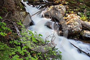 Water rushes down a steep mountain stream in the forest.