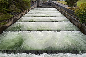 Water Rushes Over the Fish Ladder at the Bonneville Dam, Cascade Locks, Oregon, USA