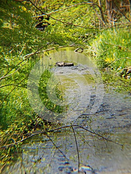 water rushing around a medium gray rock as it flows to the other side