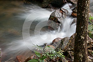 Water Rushing Down a Stream in Savannas of Brazil