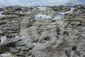 Water\'s Edge on Rugged Rocky Seashore