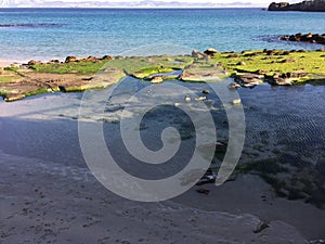 Water sea beach continents spring photo