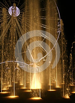 Water Show photo